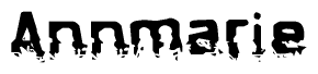 The image contains the word Annmarie in a stylized font with a static looking effect at the bottom of the words