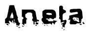 The image contains the word Aneta in a stylized font with a static looking effect at the bottom of the words