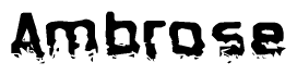 The image contains the word Ambrose in a stylized font with a static looking effect at the bottom of the words