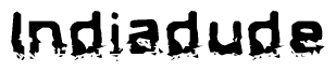 The image contains the word Indiadude in a stylized font with a static looking effect at the bottom of the words