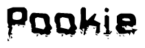This nametag says Pookie, and has a static looking effect at the bottom of the words. The words are in a stylized font.