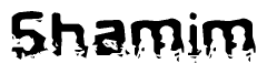 The image contains the word Shamim in a stylized font with a static looking effect at the bottom of the words