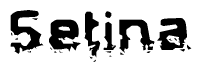 The image contains the word Setina in a stylized font with a static looking effect at the bottom of the words