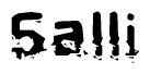 The image contains the word Salli in a stylized font with a static looking effect at the bottom of the words