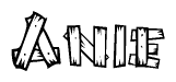 The image contains the name Anie written in a decorative, stylized font with a hand-drawn appearance. The lines are made up of what appears to be planks of wood, which are nailed together