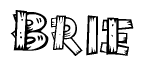 The image contains the name Brie written in a decorative, stylized font with a hand-drawn appearance. The lines are made up of what appears to be planks of wood, which are nailed together