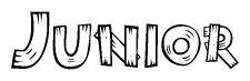 The clipart image shows the name Junior stylized to look like it is constructed out of separate wooden planks or boards, with each letter having wood grain and plank-like details.