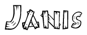 The image contains the name Janis written in a decorative, stylized font with a hand-drawn appearance. The lines are made up of what appears to be planks of wood, which are nailed together