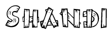 The image contains the name Shandi written in a decorative, stylized font with a hand-drawn appearance. The lines are made up of what appears to be planks of wood, which are nailed together