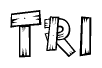 The clipart image shows the name Tri stylized to look like it is constructed out of separate wooden planks or boards, with each letter having wood grain and plank-like details.