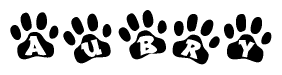 The image shows a series of animal paw prints arranged in a horizontal line. Each paw print contains a letter, and together they spell out the word Aubry.