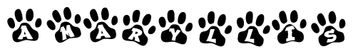 The image shows a series of animal paw prints arranged in a horizontal line. Each paw print contains a letter, and together they spell out the word Amaryllis.