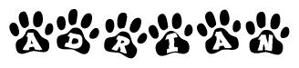 The image shows a series of animal paw prints arranged horizontally. Within each paw print, there's a letter; together they spell Adrian