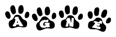 The image shows a series of animal paw prints arranged in a horizontal line. Each paw print contains a letter, and together they spell out the word Agne.