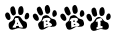 The image shows a series of animal paw prints arranged in a horizontal line. Each paw print contains a letter, and together they spell out the word Abbi.