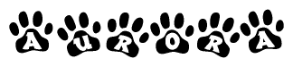 The image shows a series of animal paw prints arranged in a horizontal line. Each paw print contains a letter, and together they spell out the word Aurora.