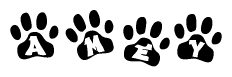 The image shows a series of animal paw prints arranged horizontally. Within each paw print, there's a letter; together they spell Amey