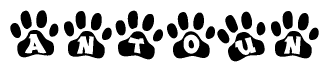 The image shows a row of animal paw prints, each containing a letter. The letters spell out the word Antoun within the paw prints.