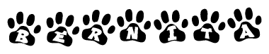 The image shows a series of animal paw prints arranged in a horizontal line. Each paw print contains a letter, and together they spell out the word Bernita.