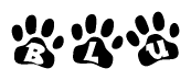 The image shows a series of animal paw prints arranged in a horizontal line. Each paw print contains a letter, and together they spell out the word Blu.