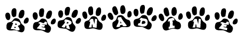 The image shows a series of animal paw prints arranged in a horizontal line. Each paw print contains a letter, and together they spell out the word Bernadine.