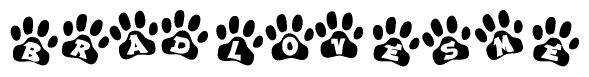 The image shows a series of animal paw prints arranged in a horizontal line. Each paw print contains a letter, and together they spell out the word Bradlovesme.