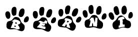 The image shows a series of animal paw prints arranged in a horizontal line. Each paw print contains a letter, and together they spell out the word Berni.
