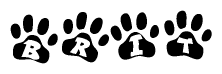 The image shows a series of animal paw prints arranged horizontally. Within each paw print, there's a letter; together they spell Brit