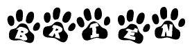 The image shows a row of animal paw prints, each containing a letter. The letters spell out the word Brien within the paw prints.