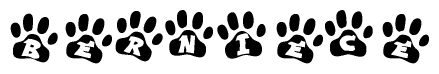 The image shows a series of animal paw prints arranged horizontally. Within each paw print, there's a letter; together they spell Berniece