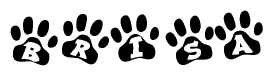 The image shows a series of animal paw prints arranged horizontally. Within each paw print, there's a letter; together they spell Brisa