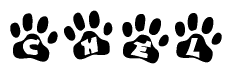 The image shows a row of animal paw prints, each containing a letter. The letters spell out the word Chel within the paw prints.
