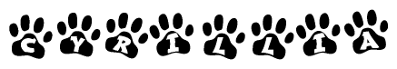 The image shows a series of animal paw prints arranged in a horizontal line. Each paw print contains a letter, and together they spell out the word Cyrillia.