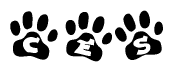 The image shows a series of animal paw prints arranged in a horizontal line. Each paw print contains a letter, and together they spell out the word Ces.