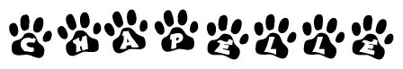 The image shows a series of animal paw prints arranged horizontally. Within each paw print, there's a letter; together they spell Chapelle