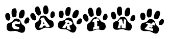 The image shows a series of animal paw prints arranged horizontally. Within each paw print, there's a letter; together they spell Carine