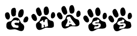 The image shows a series of animal paw prints arranged horizontally. Within each paw print, there's a letter; together they spell Chass
