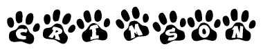 The image shows a series of animal paw prints arranged in a horizontal line. Each paw print contains a letter, and together they spell out the word Crimson.