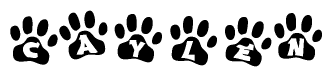 The image shows a series of animal paw prints arranged in a horizontal line. Each paw print contains a letter, and together they spell out the word Caylen.