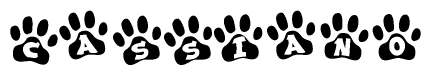 The image shows a series of animal paw prints arranged in a horizontal line. Each paw print contains a letter, and together they spell out the word Cassiano.