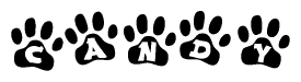 The image shows a series of animal paw prints arranged in a horizontal line. Each paw print contains a letter, and together they spell out the word Candy.