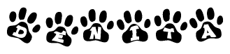 The image shows a row of animal paw prints, each containing a letter. The letters spell out the word Denita within the paw prints.