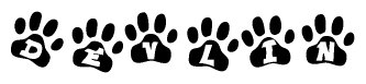 The image shows a series of animal paw prints arranged horizontally. Within each paw print, there's a letter; together they spell Devlin