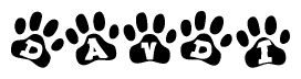 The image shows a series of animal paw prints arranged horizontally. Within each paw print, there's a letter; together they spell Davdi