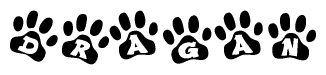 The image shows a series of animal paw prints arranged in a horizontal line. Each paw print contains a letter, and together they spell out the word Dragan.