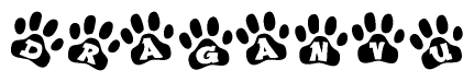 The image shows a series of animal paw prints arranged in a horizontal line. Each paw print contains a letter, and together they spell out the word Draganvu.