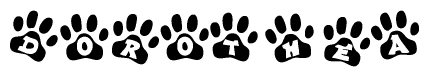 The image shows a series of animal paw prints arranged in a horizontal line. Each paw print contains a letter, and together they spell out the word Dorothea.