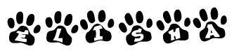 The image shows a series of animal paw prints arranged in a horizontal line. Each paw print contains a letter, and together they spell out the word Elisha.