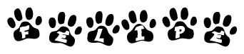 The image shows a series of animal paw prints arranged horizontally. Within each paw print, there's a letter; together they spell Felipe