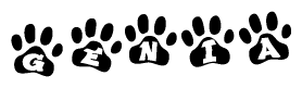 The image shows a row of animal paw prints, each containing a letter. The letters spell out the word Genia within the paw prints.